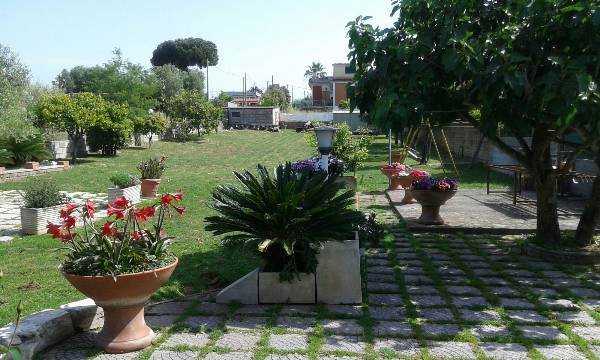 Foto4