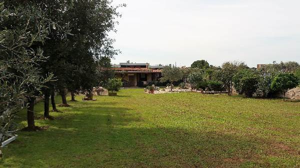 Foto3