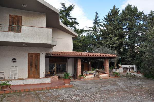 Foto1
