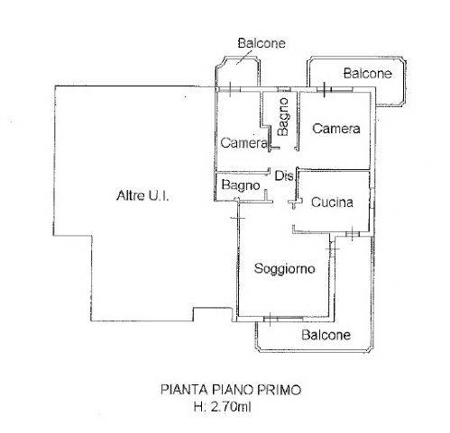 Piantina
