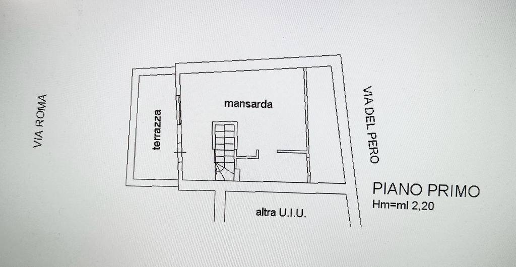 piantina