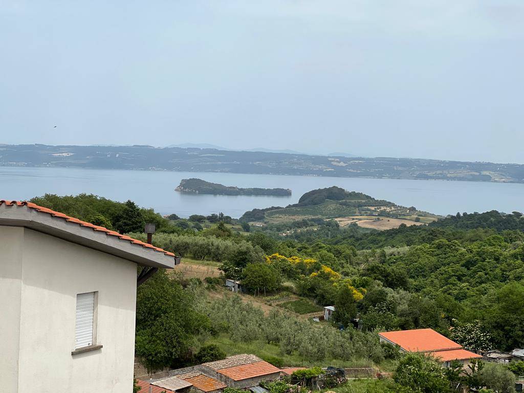 Vista