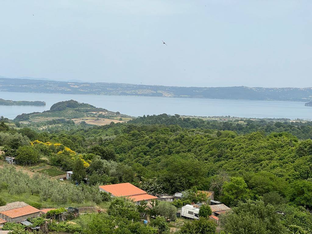 Vista