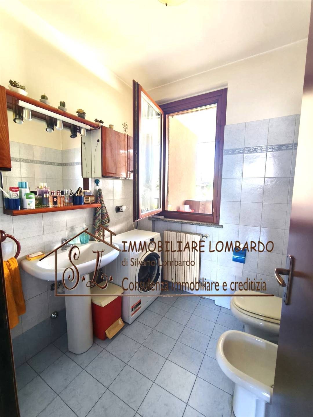 immagine annuncio 9 di 12