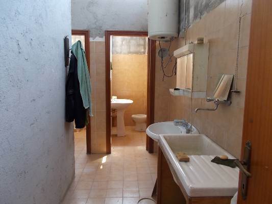 Foto8
