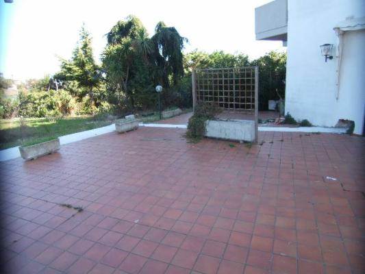 Foto4