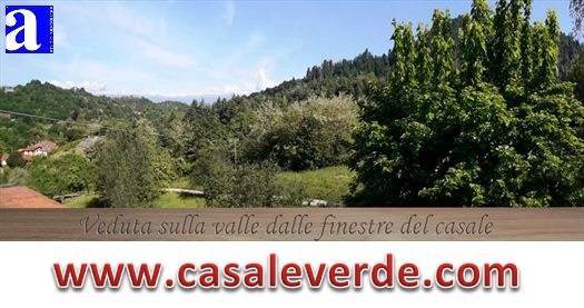 Foto4