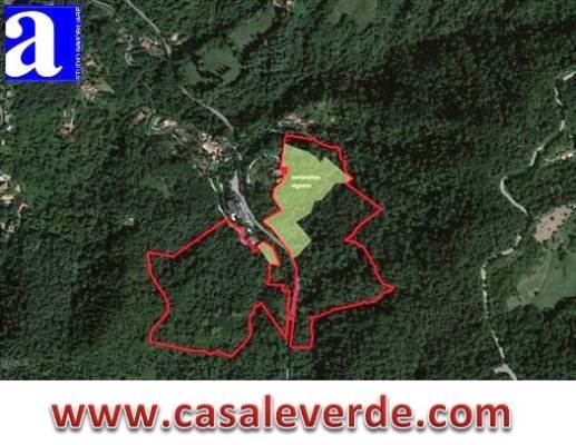 Foto3