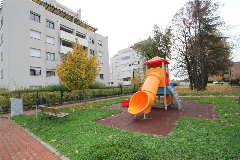 Vista