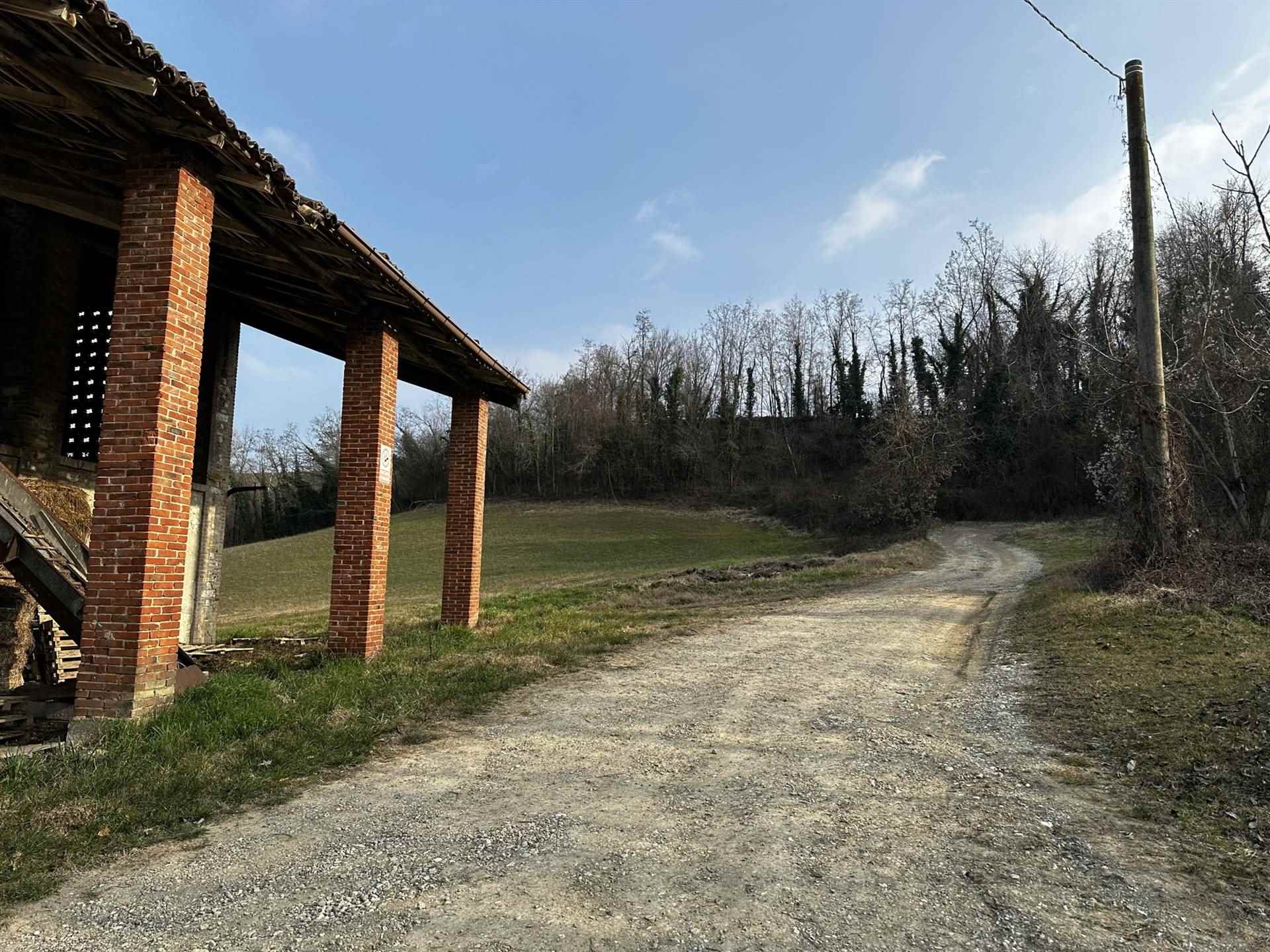 immagine annuncio 6 di 12