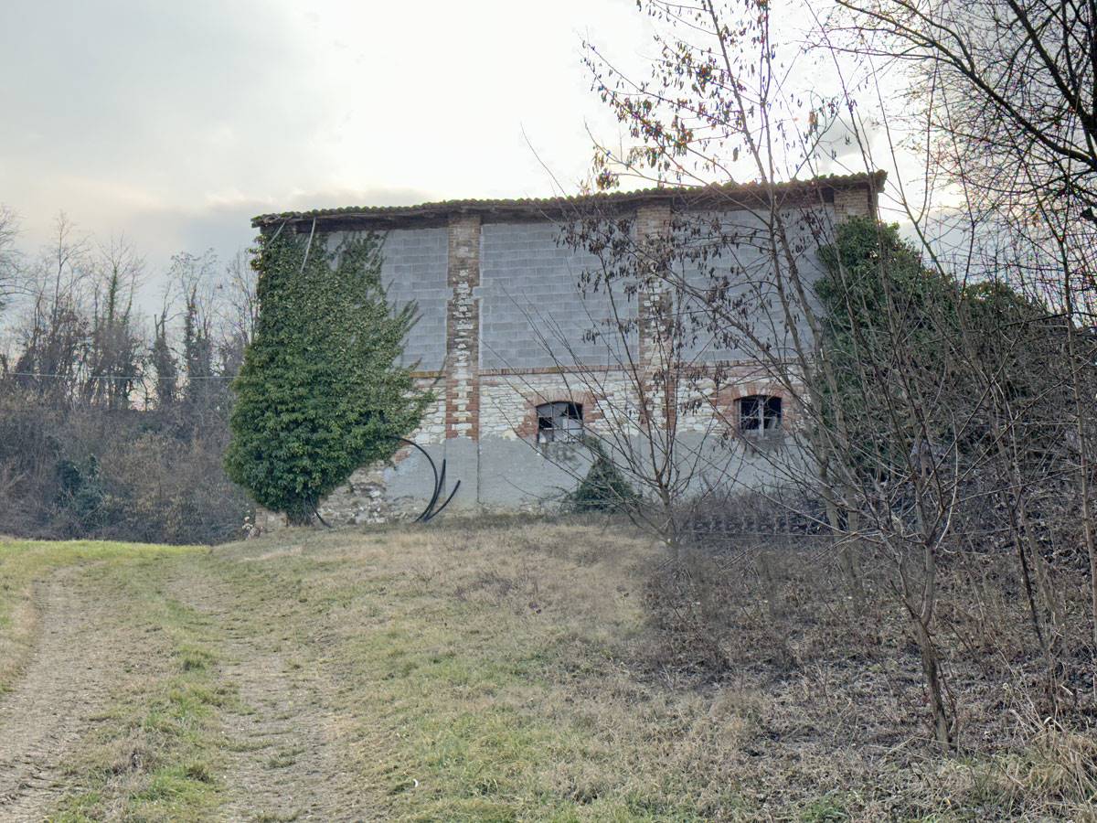 immagine annuncio 1 di 12