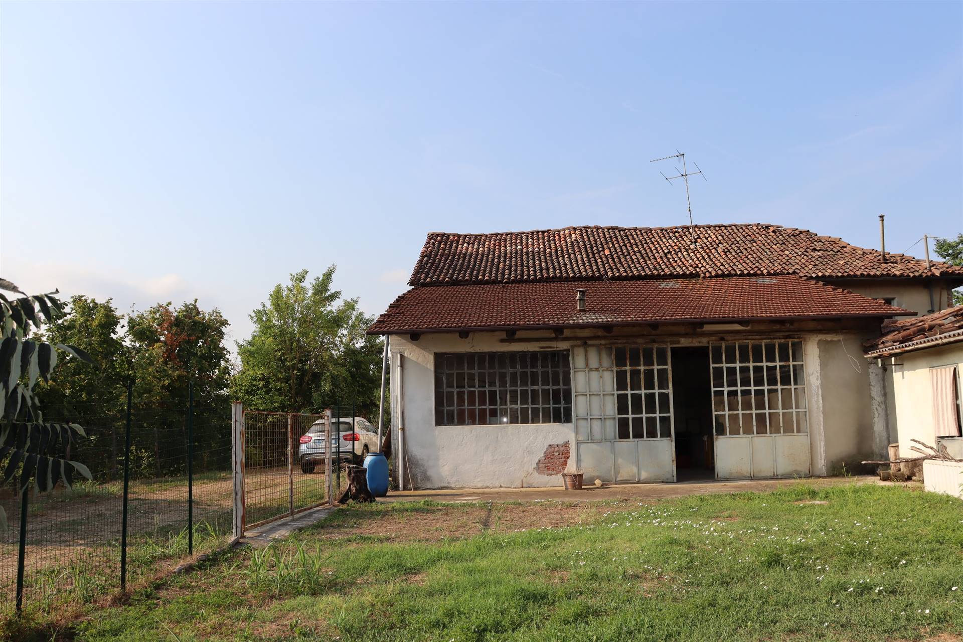 Foto